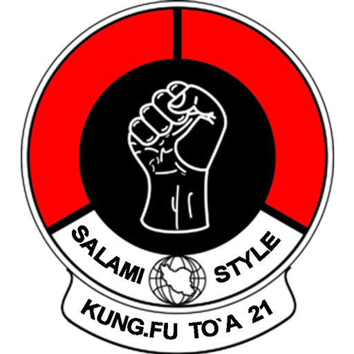 kung fu toa 21